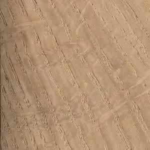 Types Of Timber: A Complete Guide To Different Types Of Wood And Timber 1 oak type of wood and timber